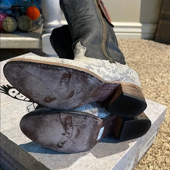 Freebird By Steven Whisper Tall Boots  In Black Snake - Picture 9 of 16